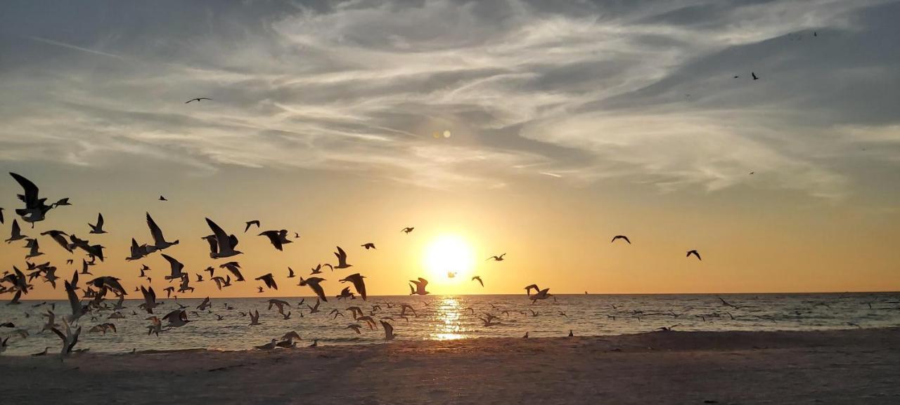 Sunset Vistas 206S St. Pete Beach Exterior foto
